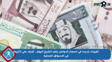 تغيرات جديدة في أسعار الدواجن بكفر الشيخ اليوم.. تعرف على تأثيرها في الأسواق المحلية